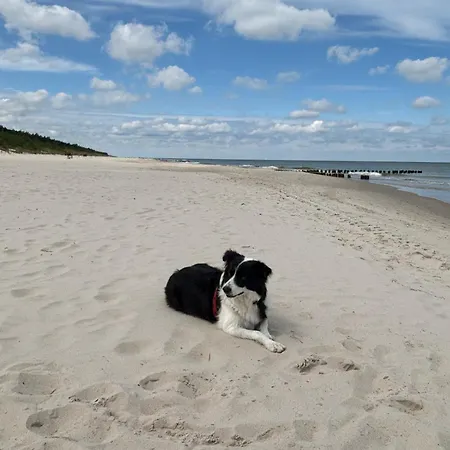 דירה Sloneczny Aktena Shellter *