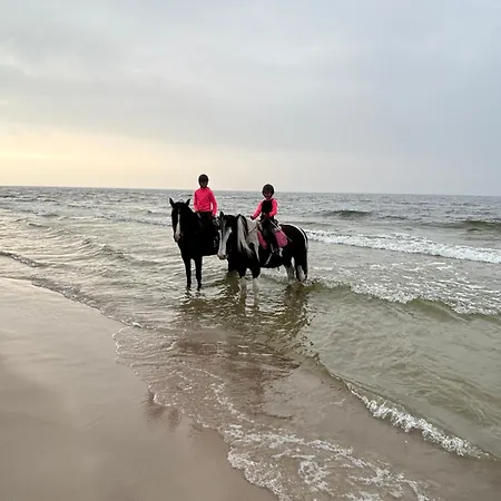 Sloneczny Aktena Shellter דירה רוגובו