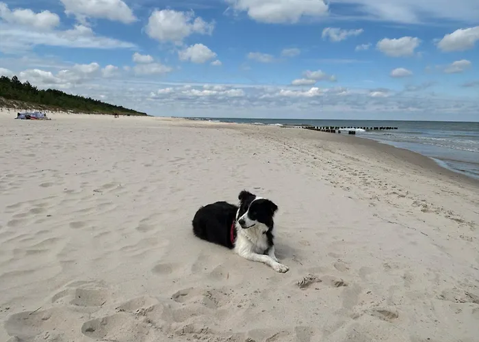 Апартаменты Sloneczny Aktena Shellter *