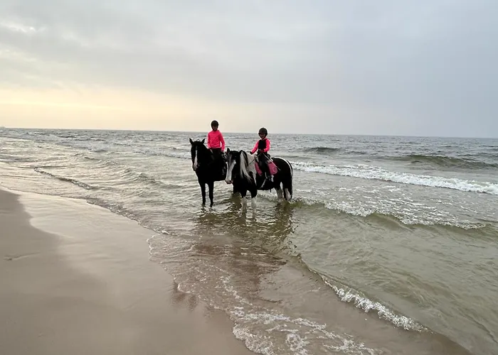 Sloneczny Aktena Shellter Apartamento Rogowo (Gryfice)